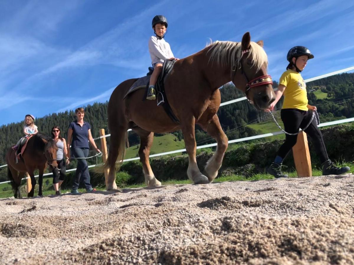 Biberhof Villa Radstadt Dış mekan fotoğraf